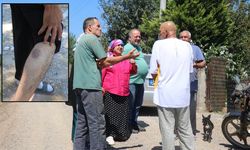 Bütün mahalle diken üstünde: Gulyabani filmi gerçek oldu...