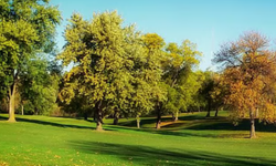 Eskişehir'e bir park daha geliyor! Çalışmalar başladı