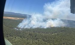 Eskişehir için orman yangını açıklaması: Teyakkuz durumu ilan edildi