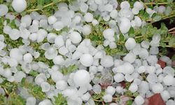 Meteoroloji'den Eskişehir'e yağmur ve dolu uyarısı