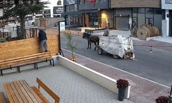 Eskişehir'de at arabasıyla sanayideki dükkanları soydular