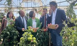 Eskişehir’de çiftçilere uygulamalı eğitim merkezi açıldı