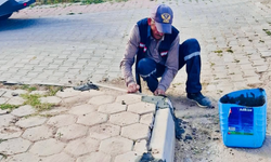 Han Belediyesi kaldırım ve sokakları yeniledi