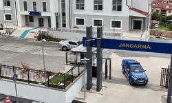 Eskişehir’de jandarma baskın yaptı! Evin içinden adeta kaçak içki fabrikası çıktı