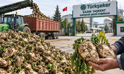 Eskişehir'de pancar üreticilerinden fiyat tepkisi: 4 bin 500 TL talep edildi