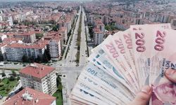 Kilosu 140 TL olarak belirlendi! Alım noktalarından biri de Eskişehir