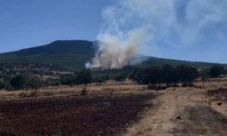 Sivrihisar'da ormanlık alanda yangın! Ekiplerin müdahalesi sürüyor