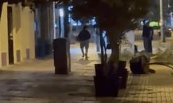 Eskişehir'de akılalmaz olay: Saksılar devire, devire ilerledi!
