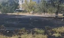 Eskişehir’de otluk alanda yangın paniği