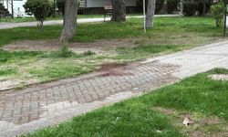 Eskişehir'de arkadaşını bıçaklayıp, kanlar içinde bıraktı: Kaçan saldırgan böyle yakalandı