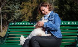 Eskişehir’de 8 bin sokak hayvanı koruma altında! Ünlüce rakamları açıkladı