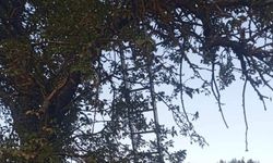 Feci kaza: 5 metreden düşen vatandaş hayatını kaybetti