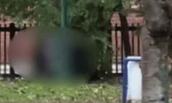 Eskişehir'de iki şahsın uygunsuz görüntüsü tepki topladı