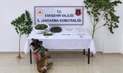 Eskişehir'de uyuşturucu operasyonu: 1 şüpheli tutuklandı
