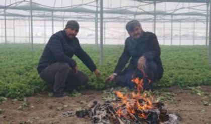 Buz tutan ürünleri için serasında ateş yaktı