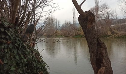 Sakarya Nehri’nden seyrine doyumsuz kış manzaraları