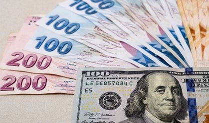 Dolar/Türk Lirası kuru 25 TL'yi aştı