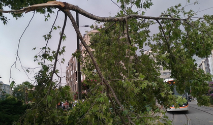 Rüzgardan kırılan dal tramvay seferlerini aksattı