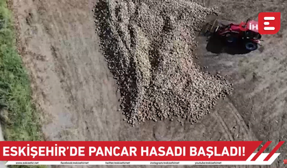 Eskişehir'de pancar hasadı başladı!