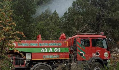 Komşuda yıldırım düşmesi orman yangınına neden oldu
