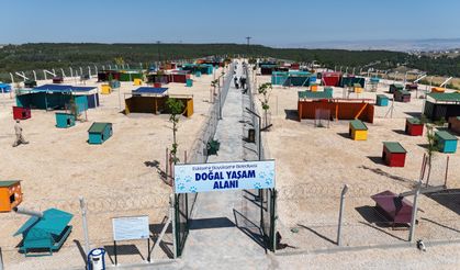 Eskişehir'de 7 bin köpeğe yuva olacak tesis açıldı!