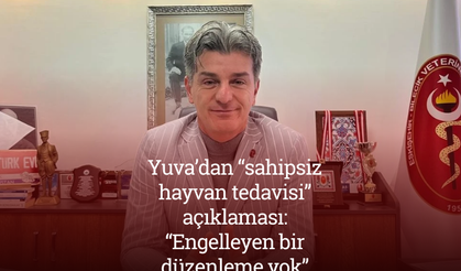 Yuva’dan “sahipsiz hayvan tedavisi” açıklaması: “Engelleyen bir düzenleme yok”