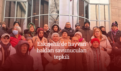 Eskişehir'de hayvan hakları savunucuları tepkili: "Hayvanlar barınaklara sürüldü"