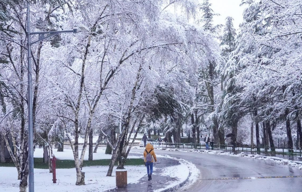Anadolu Üniversitesi'nde kar manzaraları