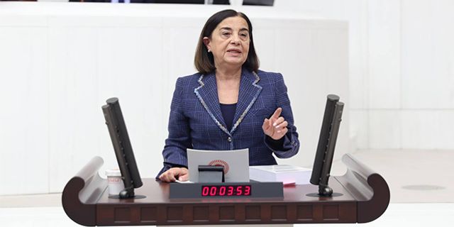 Jale Nur Süllü: Esas kuraklık zihinlerde!