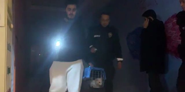 Yangında kedisini kurtarmak için zamanla yarıştı