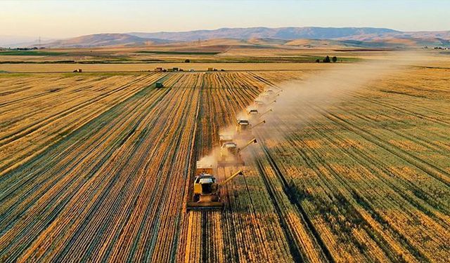 Tarım ve Orman Bakanlığı'ndan çiftçilere müjdeli haber