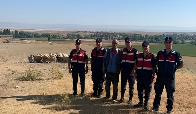 Jandarma dron çalışmasıyla kaybolan küçükbaşları buldu