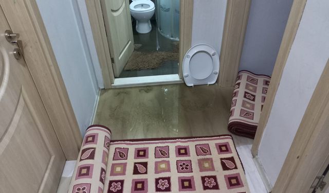 Emek Mahallesi'nde rögarlar taşıyor mahalleli isyanda