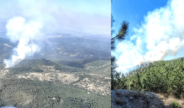 Orman yangını çıktı 3,5 hektarlık alan küle döndü