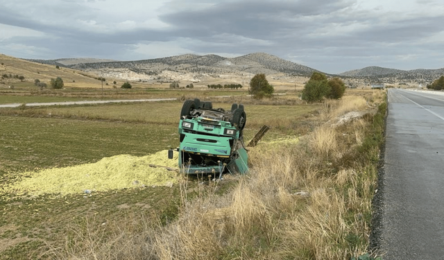 Kamyon devrildi 13 ton mısır silajı ziyan oldu