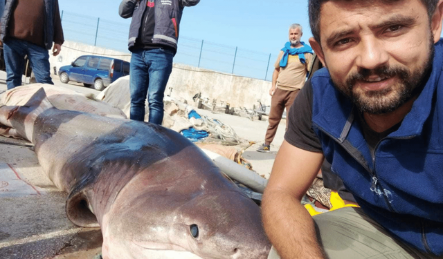 Marmara Deniz'inden canavar çıktı