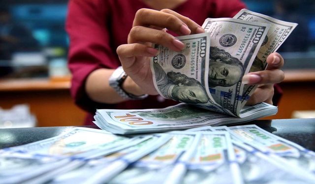 Doları olanların yüreği ağzına gelecek: Ünlü ekonomistten 25 lira iddiası