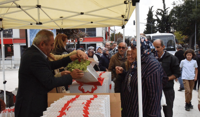 Bilecik Belediyesi 30 Bin Adet Marul Fidesi Dağıttı