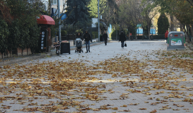 Eskişehir’de sararan yapraklar kartpostallık görüntüler oluşturdu