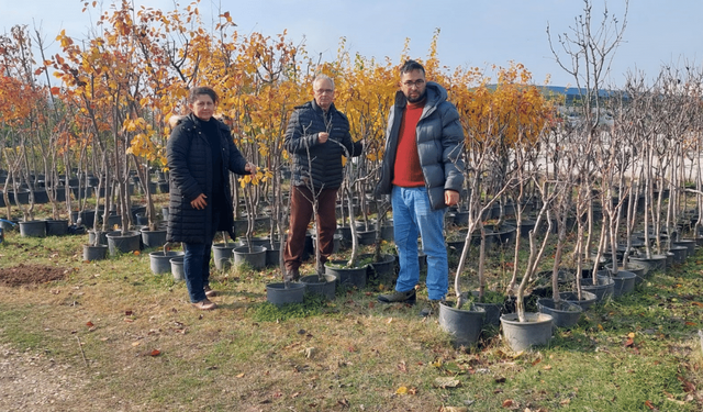 Eskişehir'de fide ve fidan satış yerlerine denetim