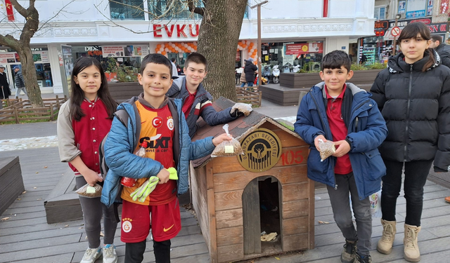 Eskişehirli öğrencilerden sokak hayvanlarına "merhametli" hareket