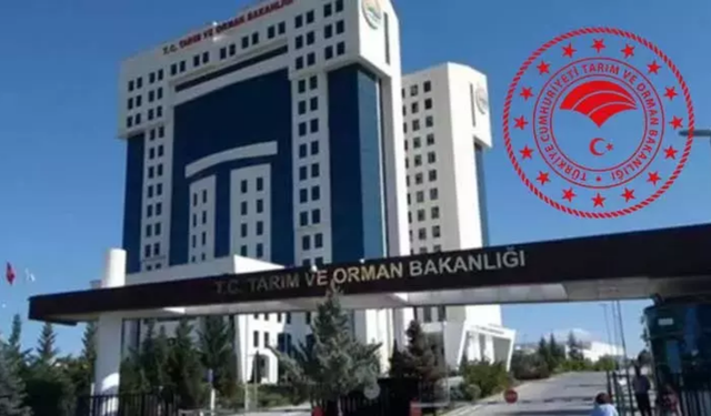 Tarım ve Orman Bakanlığı'na 7 bin 158 personel alınacak! İşte detaylar