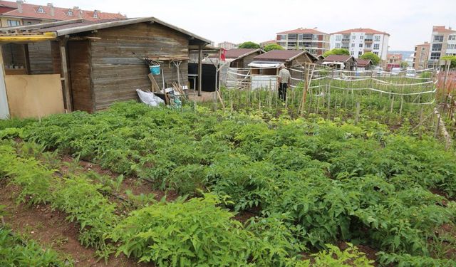 Eskişehirlileri uyardılar: “Hobi bahçelerinden uzak durun”