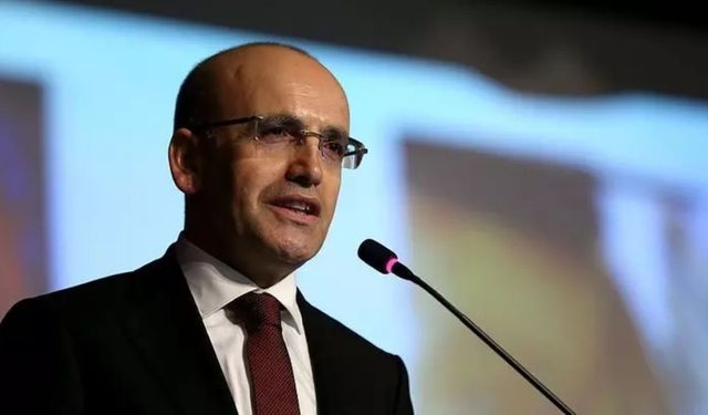 Bakan Şimşek'ten mesaj: "Türkiye sahalara döndü"