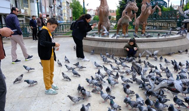 Nazilli'den gelen turistler Eskişehir'e hayran kaldı