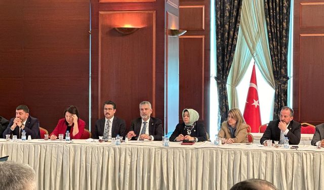 Ayşen Gürcan, AK Parti Genel Merkezde toplantıya katıldı