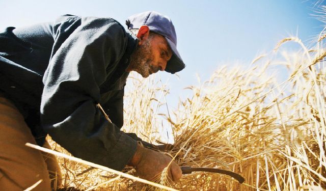 Tarımsal destek ödemesi çiftçiyi rahatlattı