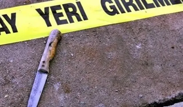 Anneler Günü'nde kan donduran olay! Cinnet getiren anne, 9 yaşındaki oğlunu bıçakladı