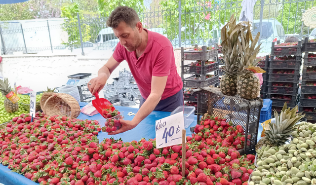 Renk renk yaz meyveleri Eskişehir'de pazar tezgahlarını süsledi