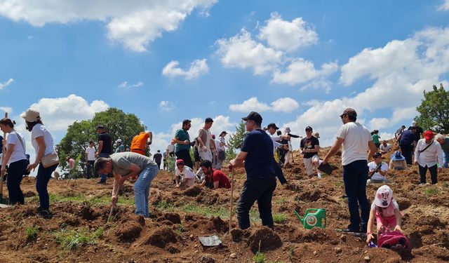 Sıfır Atık Ormanı yeni dikilen fidanlar ile büyüyor